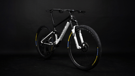 Teorema FS Team Edition