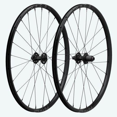 Vega A21 RS Dynamo SP